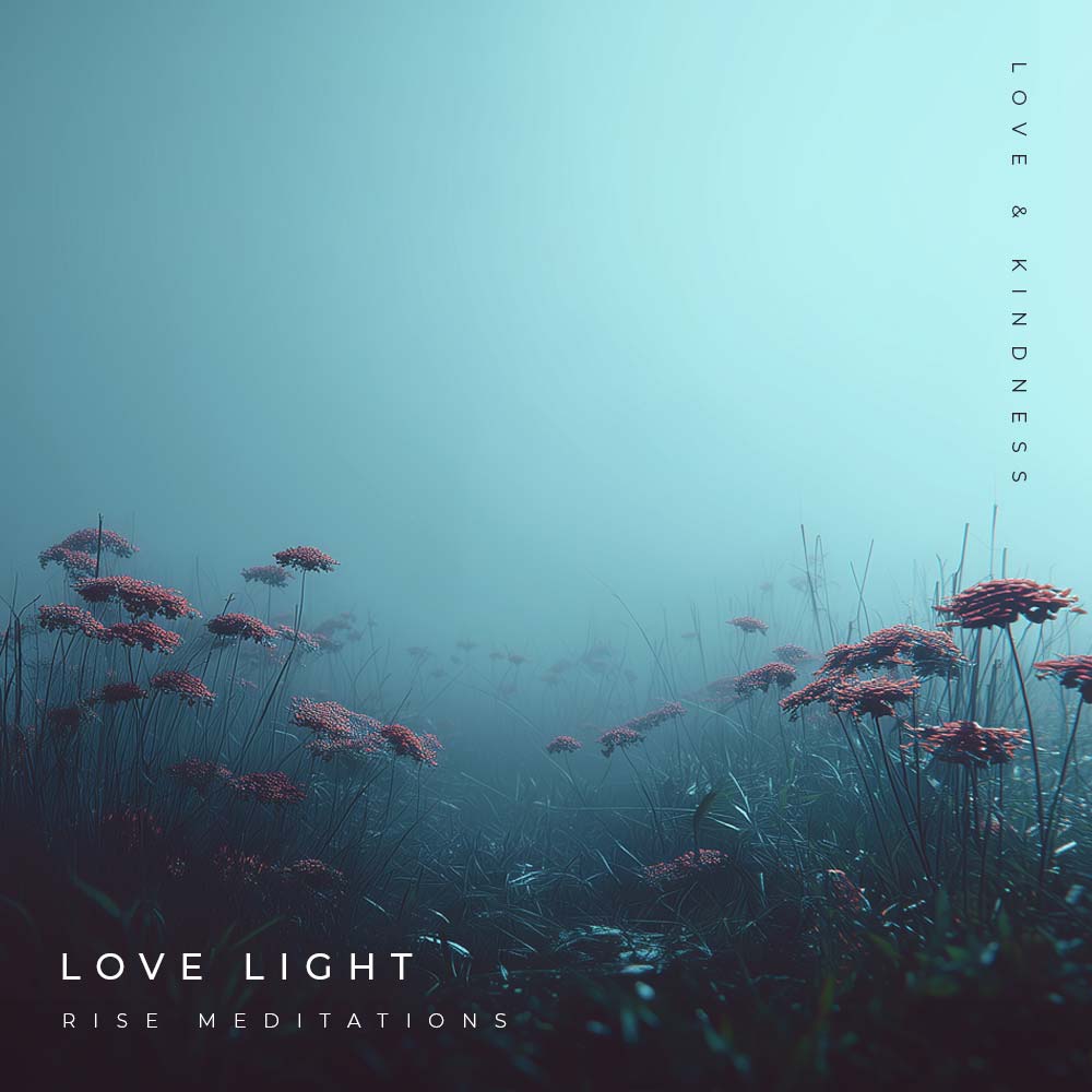 Love Light Cover art